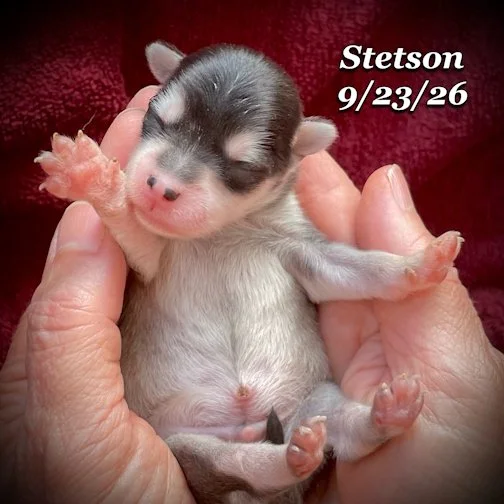 09-23 stetson 12.jpg