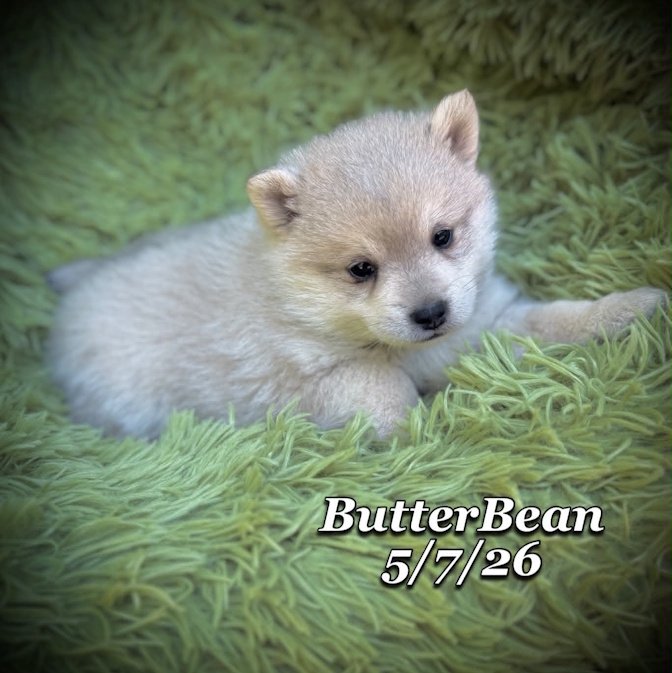 05-07 j butter 3a626fb9-8852-40fd-aa85-0fbfd47df082.jfif