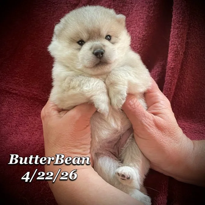 04-22 j butter 79bd7ced-b8bc-40a4-a0fc-92513c953fdc.jfif