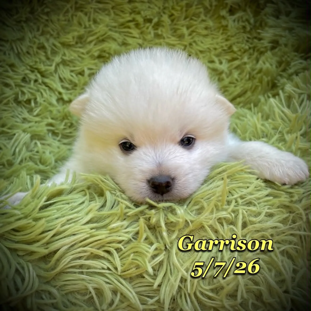 05-07 z garrison 7880fc2e-46f7-4646-a4f2-4580b27f4c6e.jfif