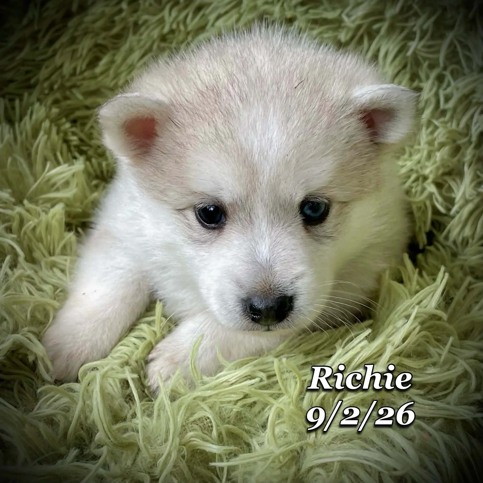 09-02 richie 654cf4a9-77c7-4356-946e-d3eb34423fda.jfif