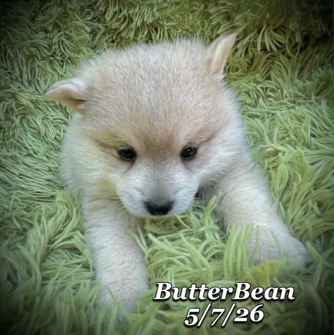 05-07 j butter 67fc1255-9efc-4b1b-bec1-15543642024d.jfif