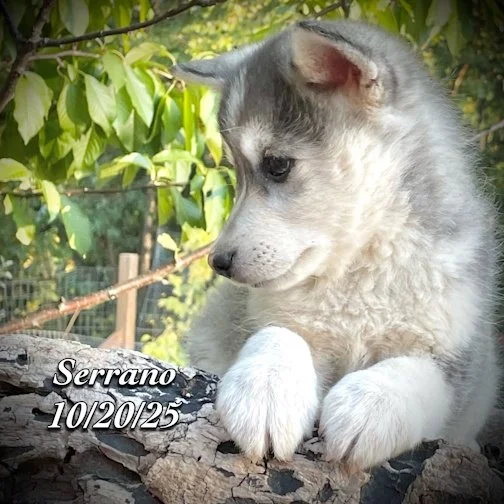 10-20 z serrano phonto 102.JPG