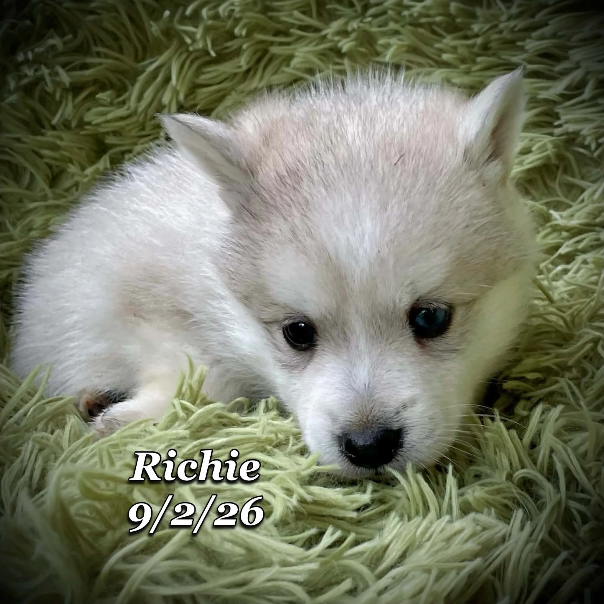 09-02 richie 53e0aa94-6461-456b-bccc-0db8d69a26f4.jfif