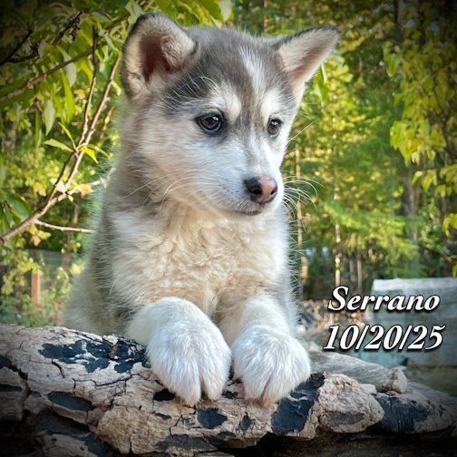 10-20 z serrano phonto 96.JPG