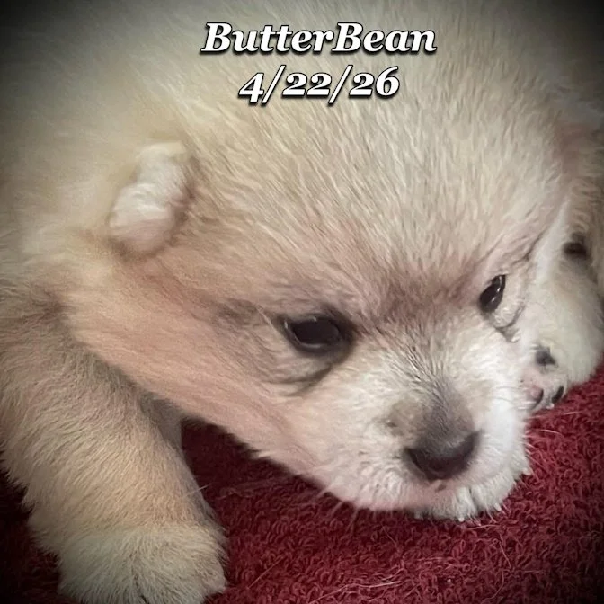 04-22 j butter 856524a9-3ead-42d0-9726-523f49aedc24.jfif