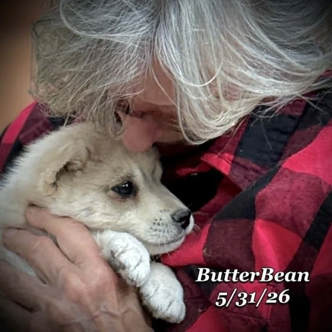 05-31 j butter fa580a18-e02d-43f3-b868-64819c93a51b.jpg