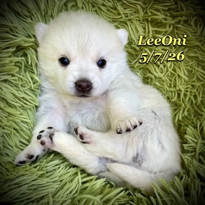 05-07 z leeoni 179e9ca2-a75e-4fdb-b9cd-0af43688b0cc.jfif