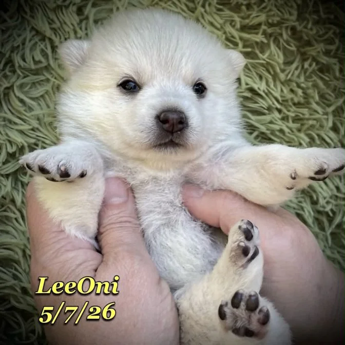 05-07 z leeoni 601e0c2f-f5a7-4d61-9360-5ae7e7c718fe.jfif