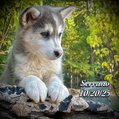 10-20 z serrano phonto 105.JPG