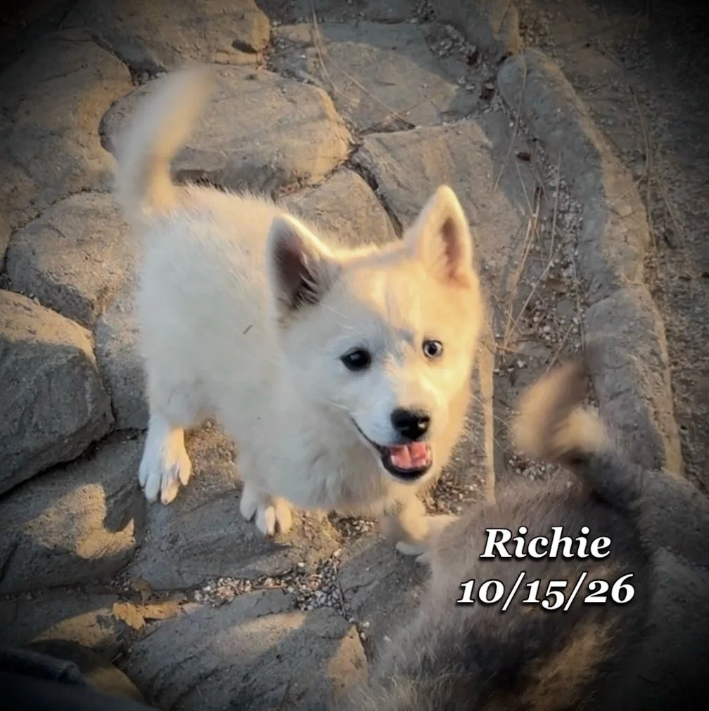 10-15 richie 02.jpg