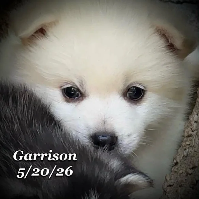 05-20 z garrison 3f223cd4-a587-4619-bdcb-62ca40d4e3d8.jfif