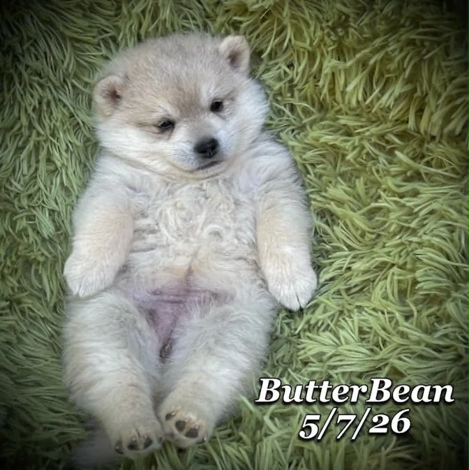 05-07 j butter 9198eb64-d8e0-4aca-9df7-8e404facf75c.jfif