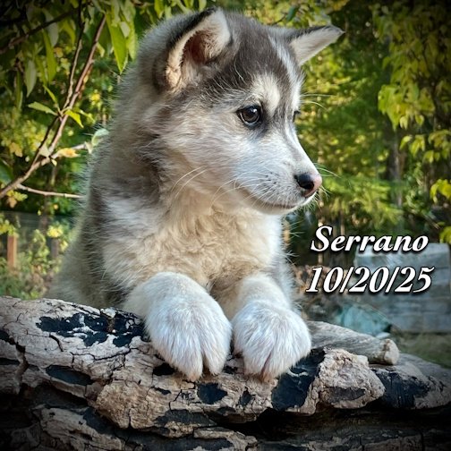 10-20 z serrano phonto 104.JPG