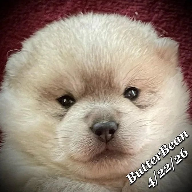 04-22 j butter 4051253c-a38c-48d0-ad07-362b5e96c981.jfif