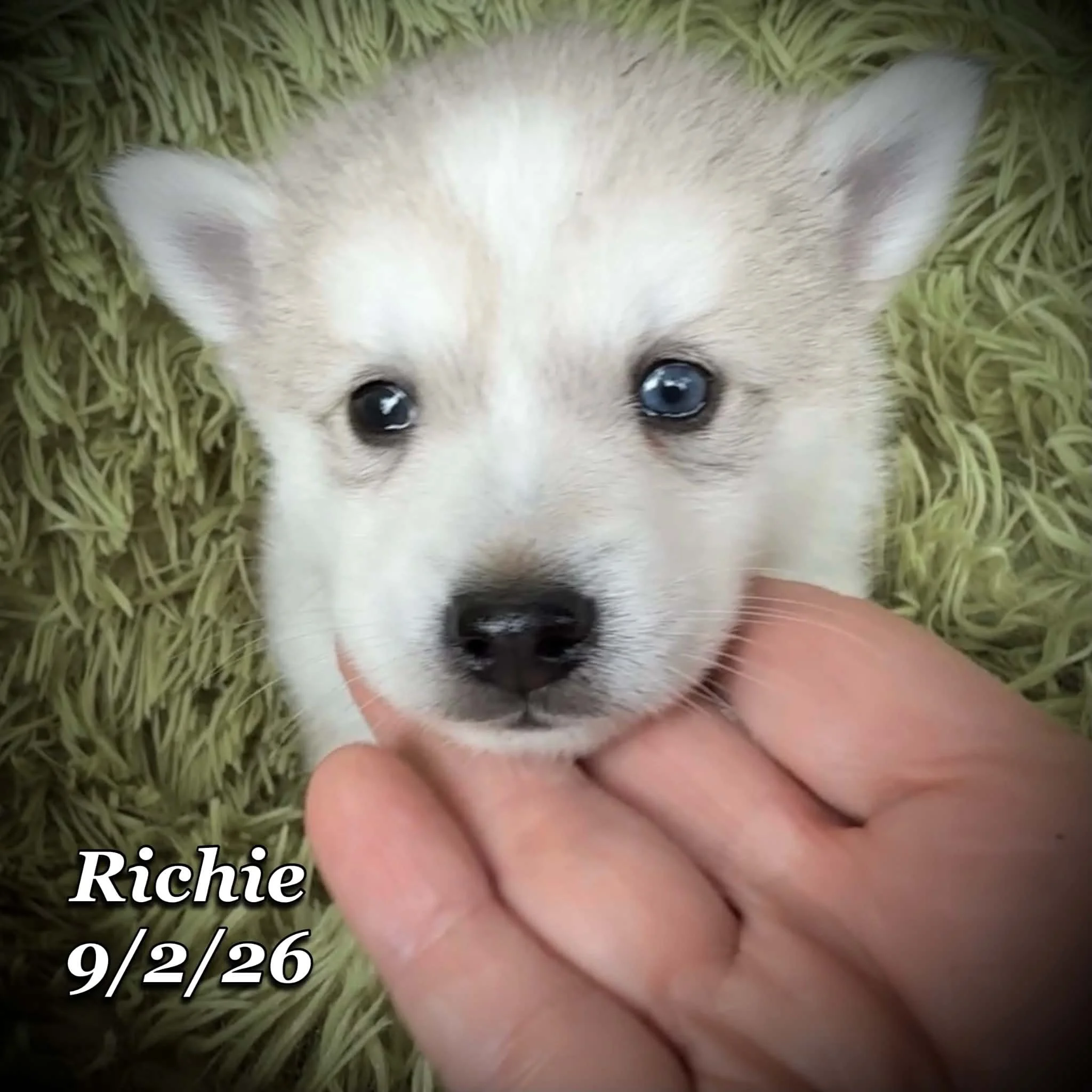 09-02 richie 4c1ce2f6-b88c-4ec1-815d-da8f750b3f8c.jfif