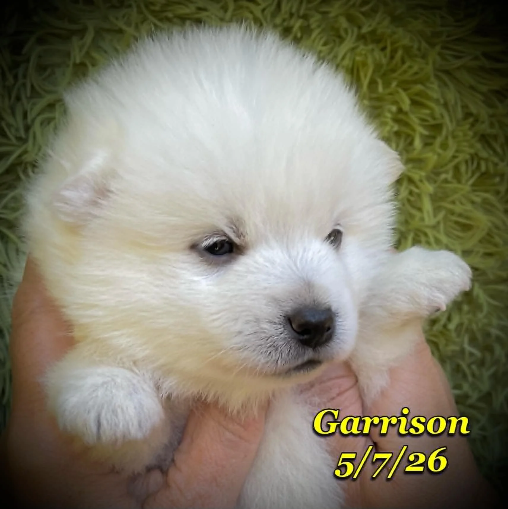 05-07 z garrison 99a95642-3620-43ad-bc81-5f6c7661d66b.jfif