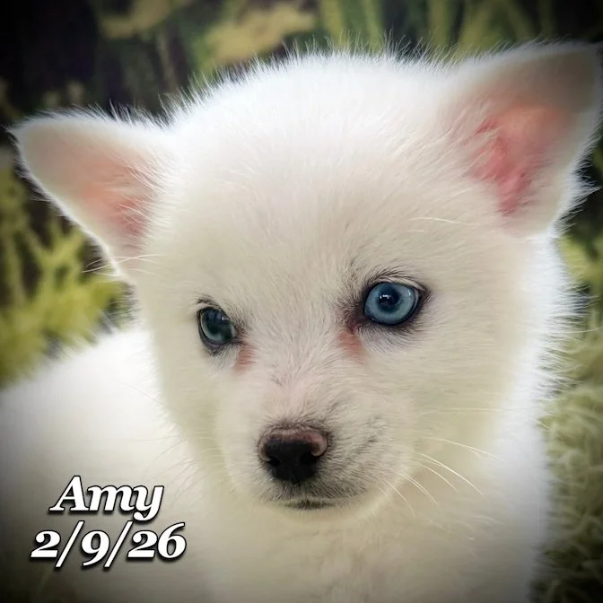 02-09 s amy 993ecbac-d683-4790-a38c-23bc620d1f5c.jfif