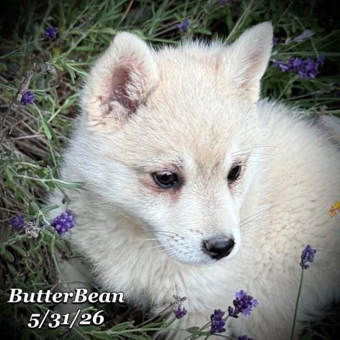 05-31 j butter 986c13f3-c3e4-4058-b764-4a2327272b09.jpg