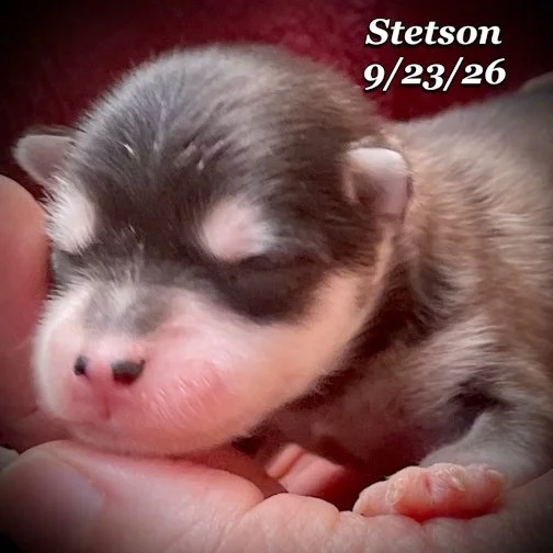 09-23 stetson 04.jpg