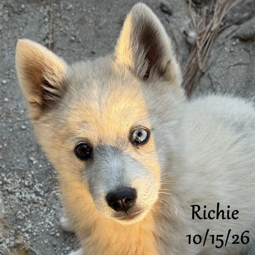 10-15 richie 04.jpg