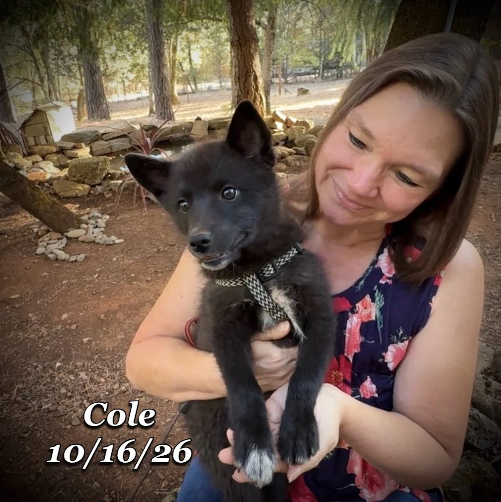 10-16 cole 01.jpg