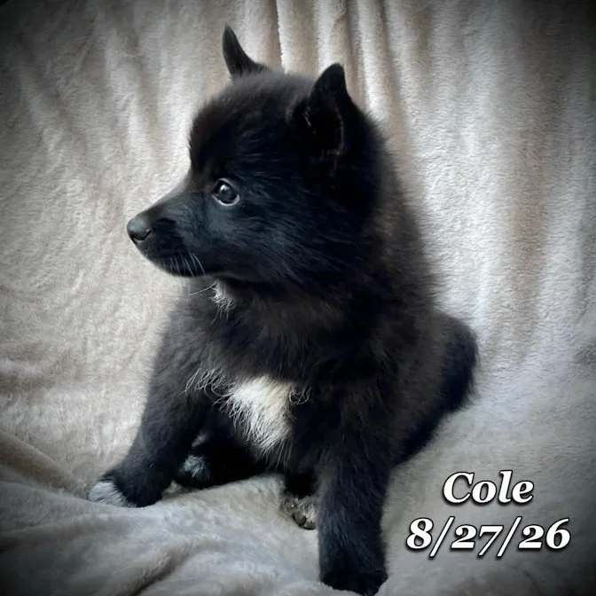 08-27 cole 5b131a78-c089-4fc1-855b-7354434b2aa0.jpg