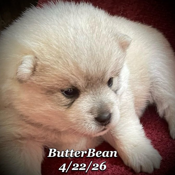 04-22 j butter 6590dc95-25e7-469c-92b4-536ba5611333.jfif