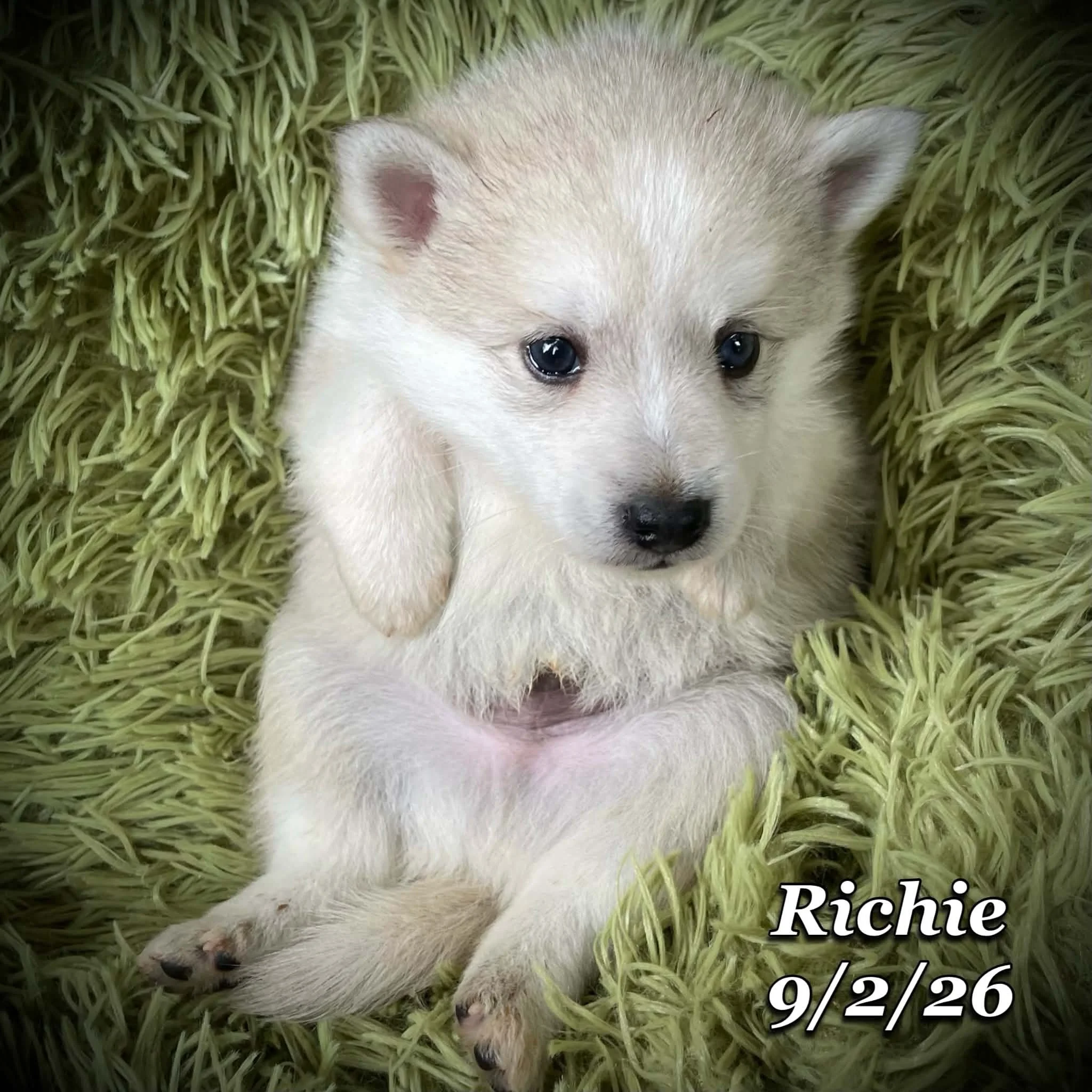 09-02 richie a56a428b-0a56-42ec-b814-da98e02bcac2.jfif