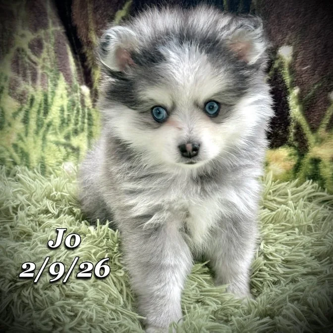 02-09 s jo bd2af6d1-b721-4b22-b7af-2b07292776a3.jfif