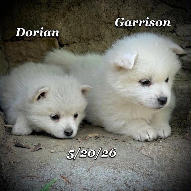 05-20 z garrison 31e55303-b2a9-45cc-8620-99ea57b9b473.jfif