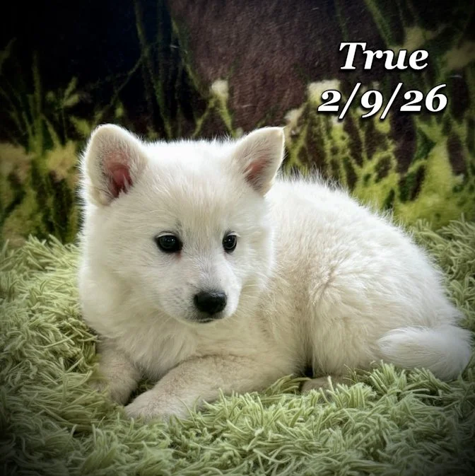 02-09 true d56bf0ea-278a-4110-a6f2-a43f11aee53f.jfif