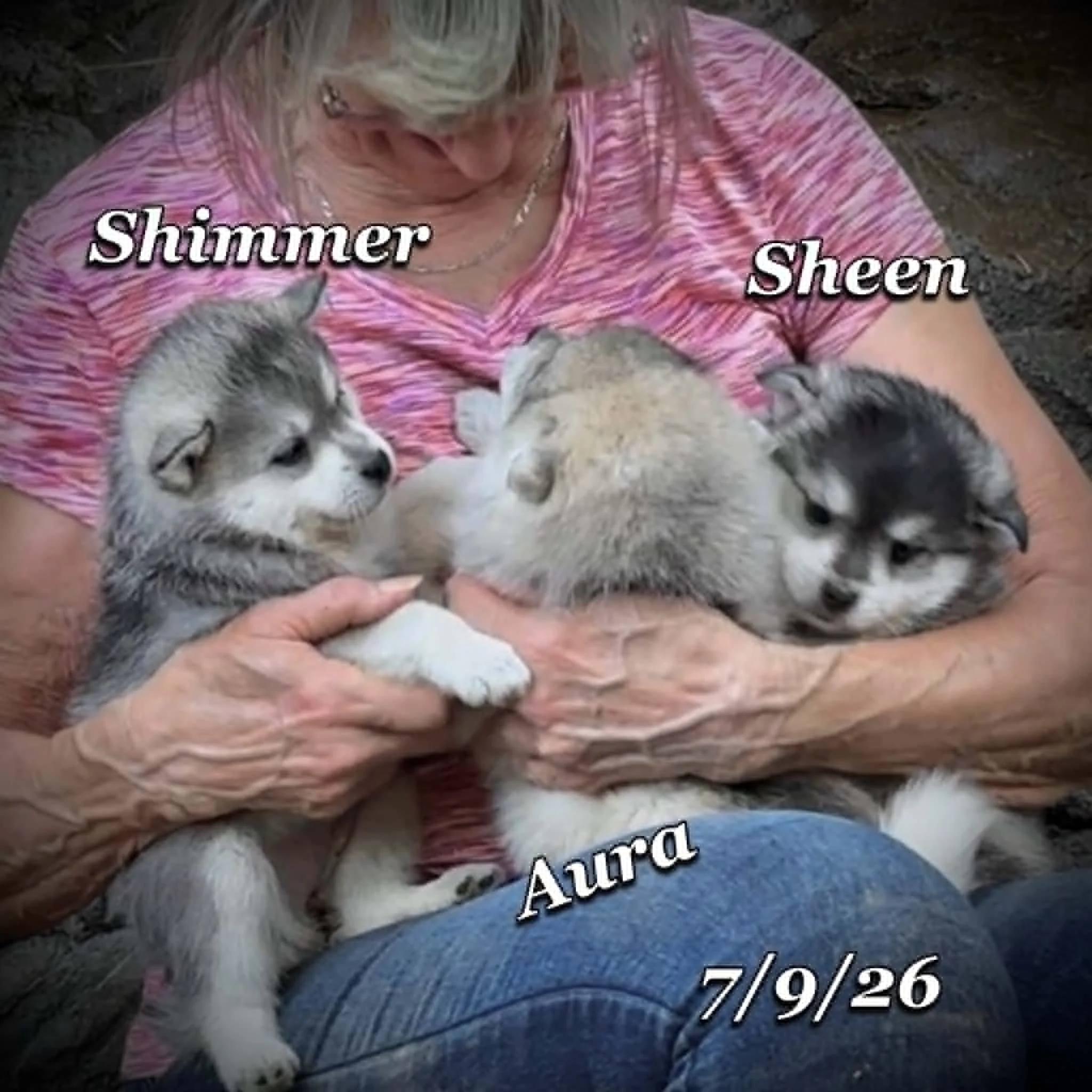 07-09 shimmer dbc70e50-314b-4079-9053-7c8860510a48.jfif