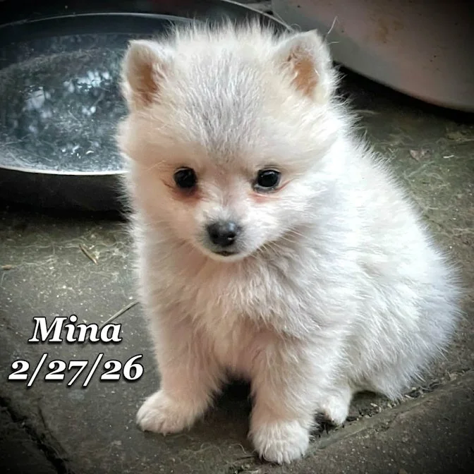 02-27 j mina 6615b364-3f7b-4f0b-b6d5-c88bcb04ae0b.jfif