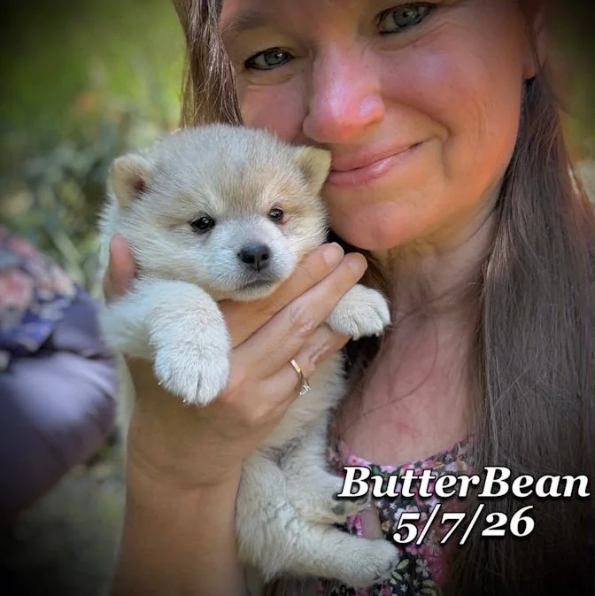 05-07 j butter fbf5a6f3-8033-45a9-ad30-f99021baad6e.jfif