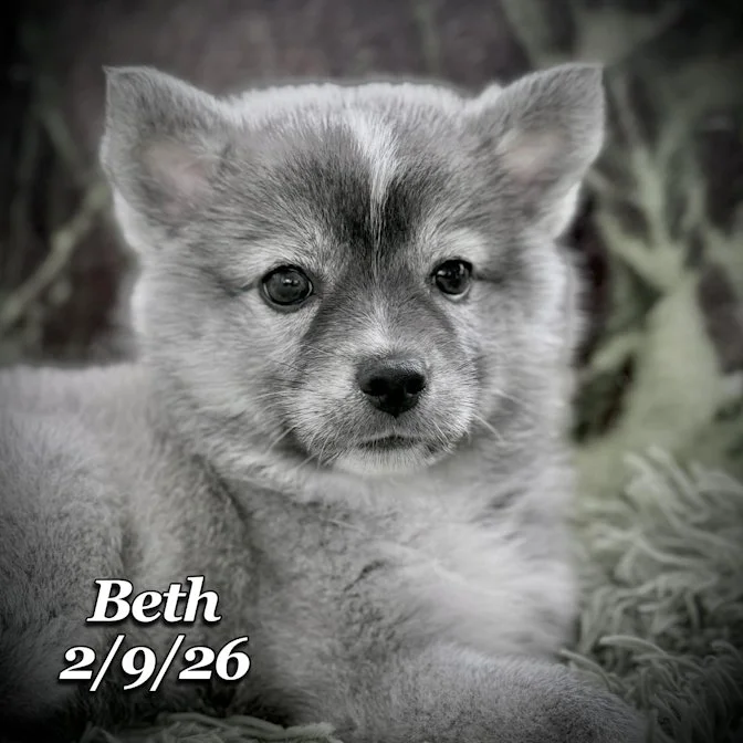 02-09 s beth e13dcd42-2ea2-4524-a32d-dc22946a9eaf.jfif