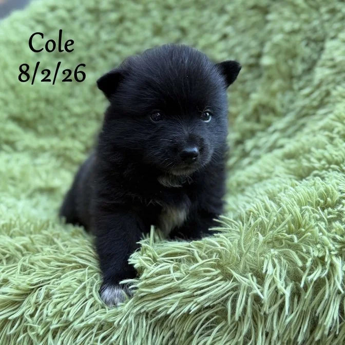 08-02 cole 6976659a-bdda-40c0-8a9d-073b6e669059.jfif