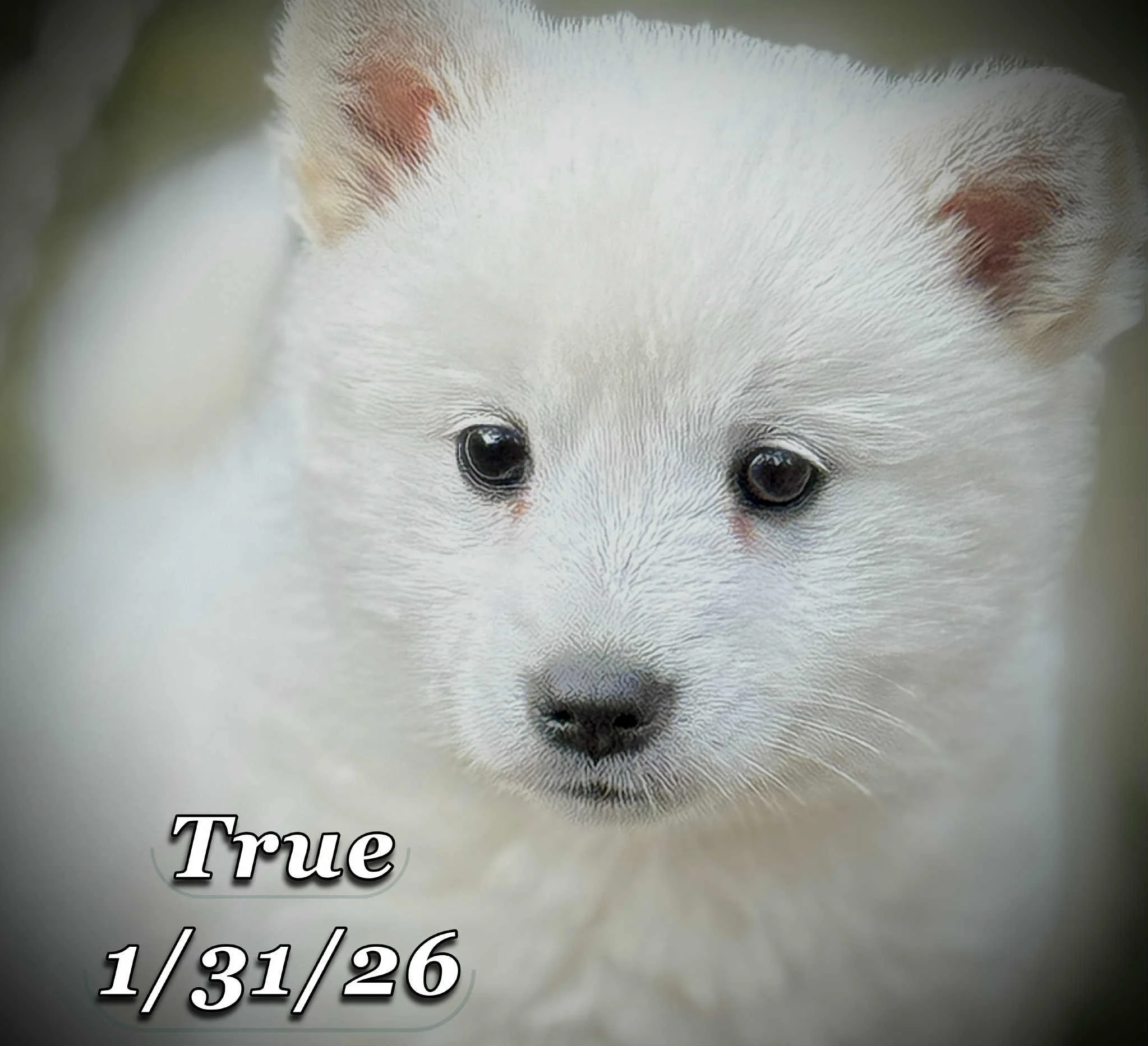 01-31 true e0cf7e19-ab94-4646-b070-3b78224cd5c8.jfif