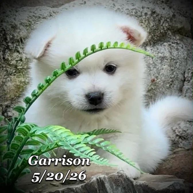 05-20 z garrison 6eb11c88-ee15-46f5-8eb5-b5cd5ab39edd.jfif