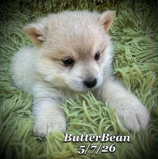 05-07 j butter b5c6044f-549c-4788-be61-f5e85665b889.jfif