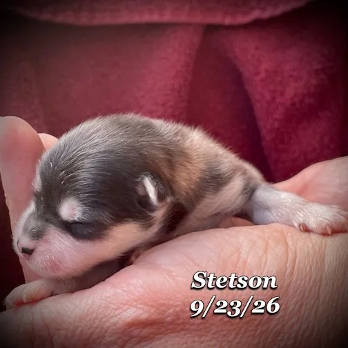 09-23 stetson 07.jpg