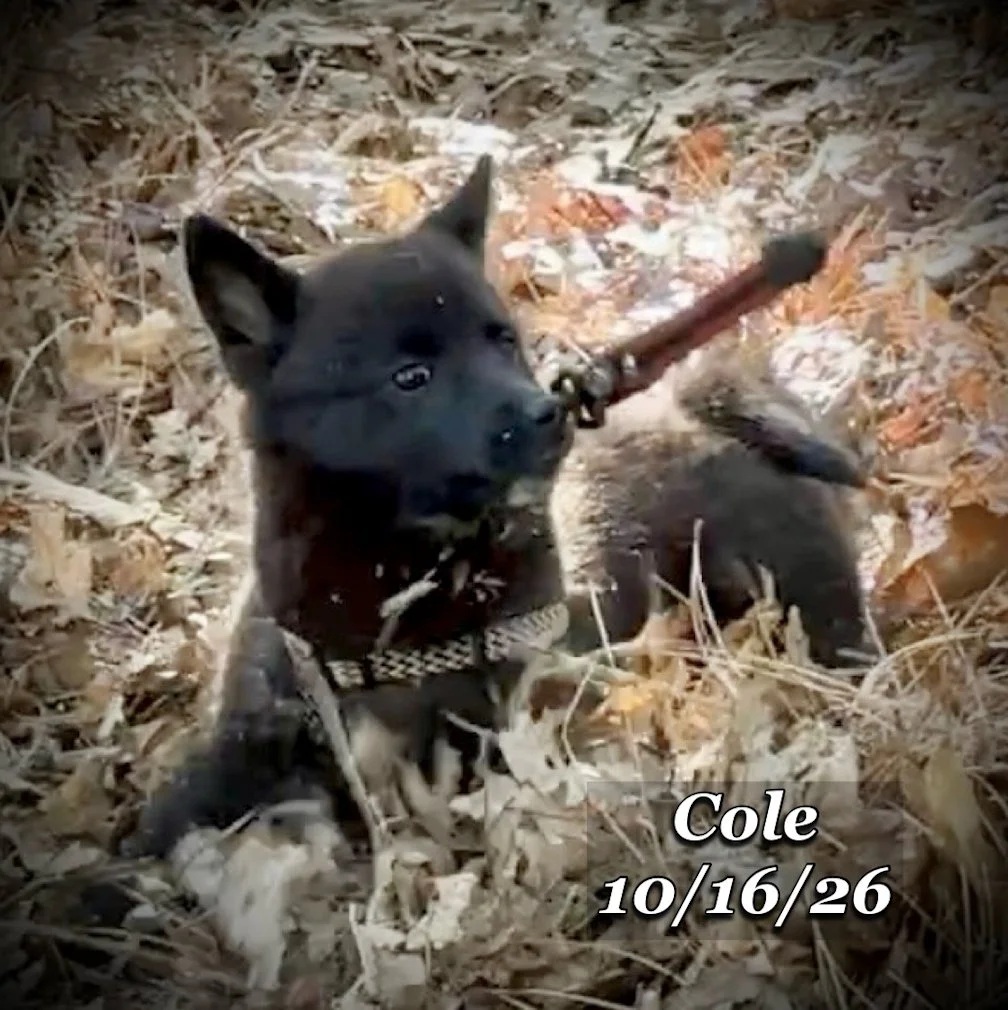 10-16 cole 07.jpg