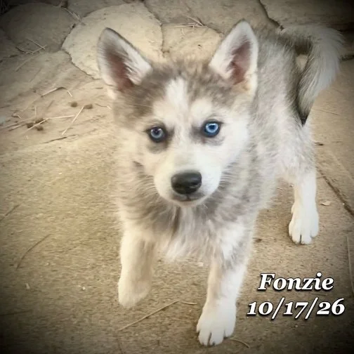 10-17 fonzie.jpg
