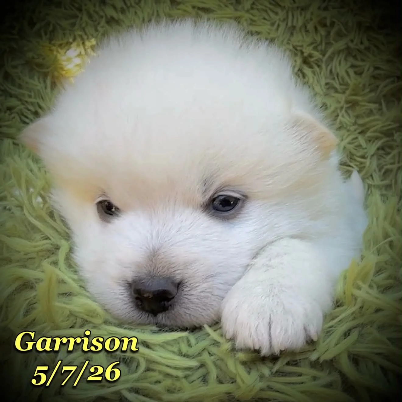 05-07 z garrison ddb461da-9a37-40c6-8428-f20ad28a4c96.jfif