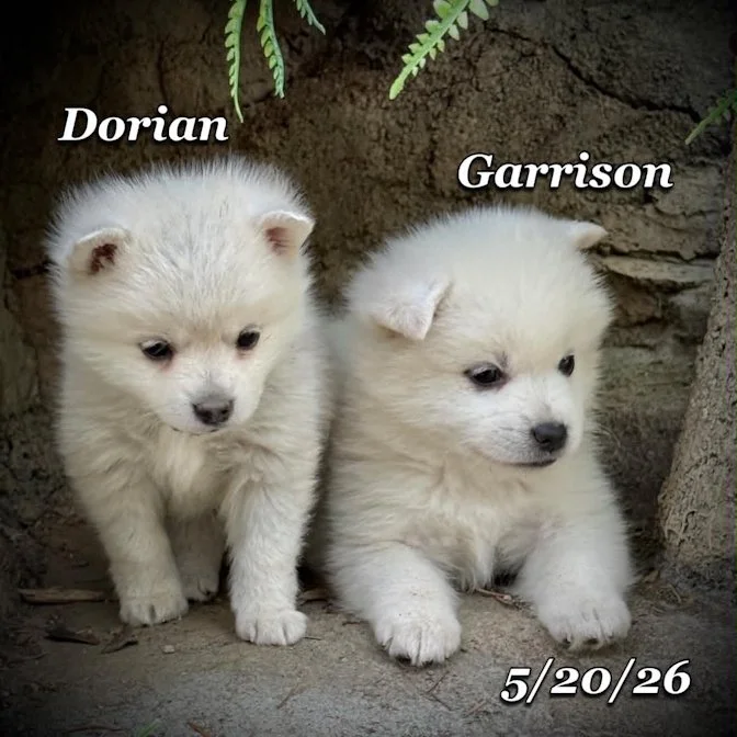 05-20 z garrison 22a08908-d8cf-4845-9ff4-7d5bfd2a7bf4.jfif