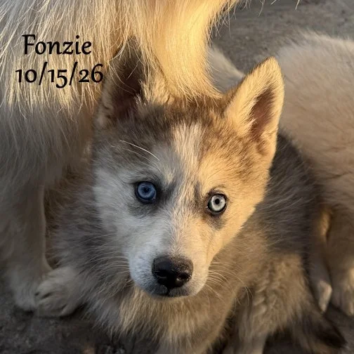 10-15 fonzie 05.jpg