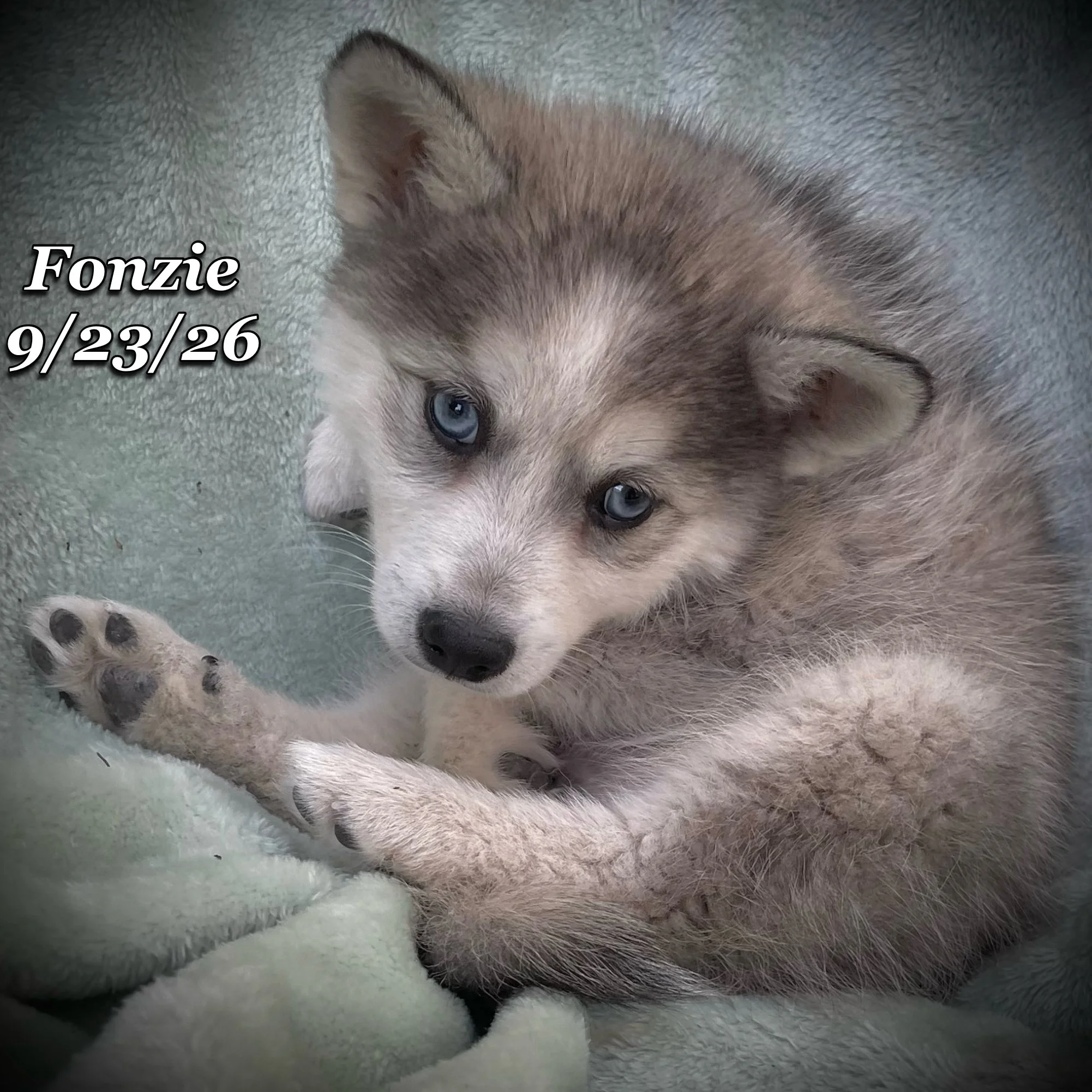 09-23 d fonzie phonto 60.JPG