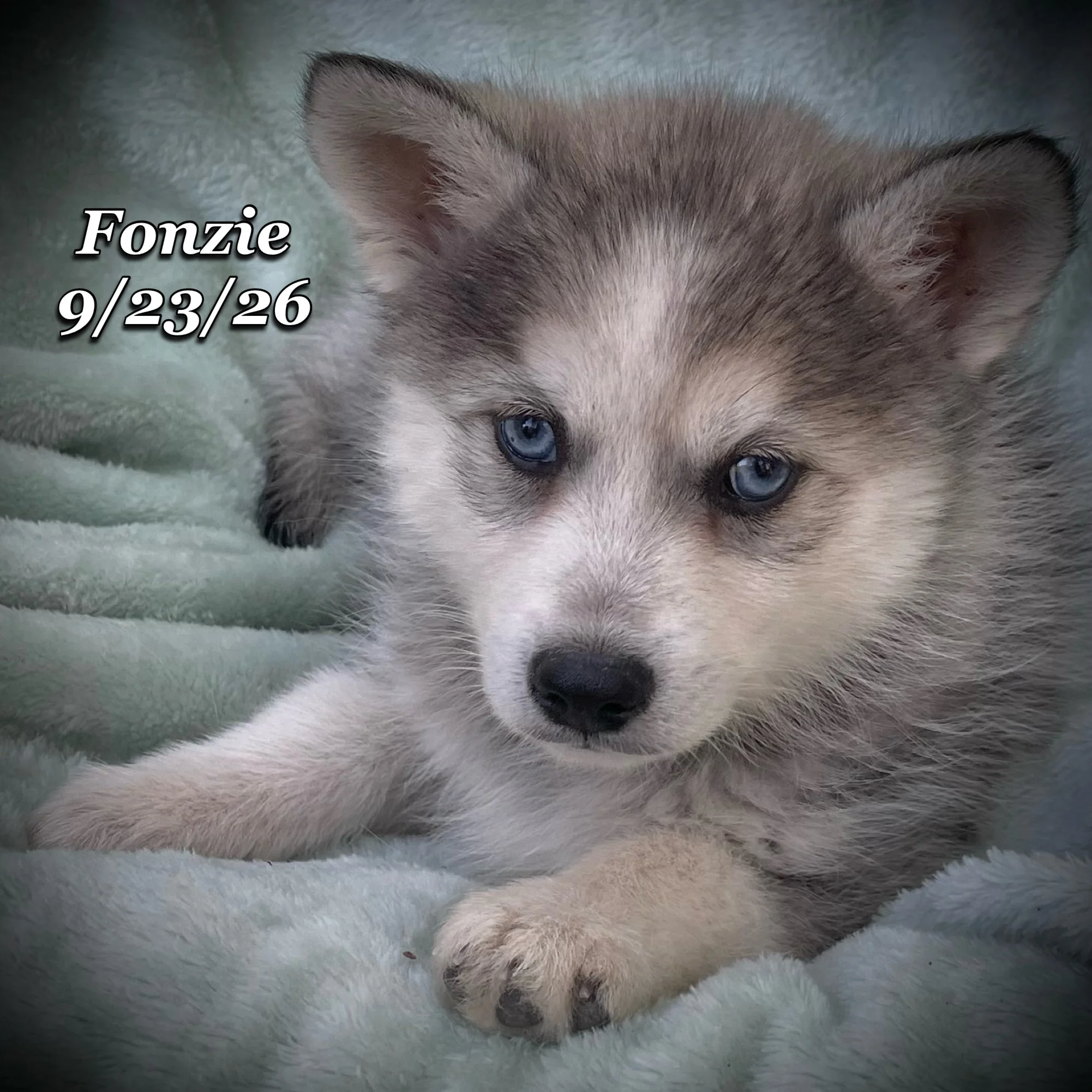 09-23 d fonzie phonto 64.JPG