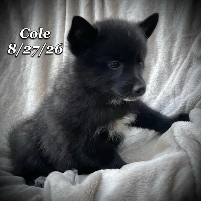 08-27 cole c3bf1e51-5e05-431b-b2c0-6e86437d2001.jpg