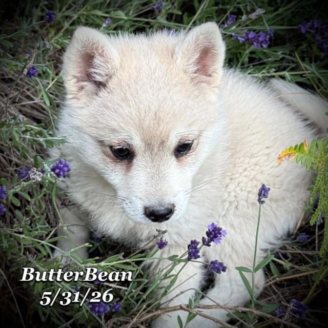 05-31 j butter d04c940b-01b8-494e-bf84-b1ccd9454fa1.jpg